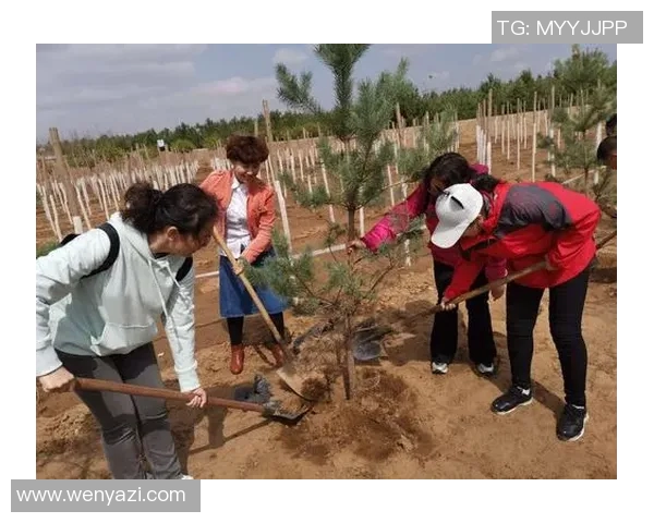 追寻梦想的旅程与神秘人302的奇幻邂逅